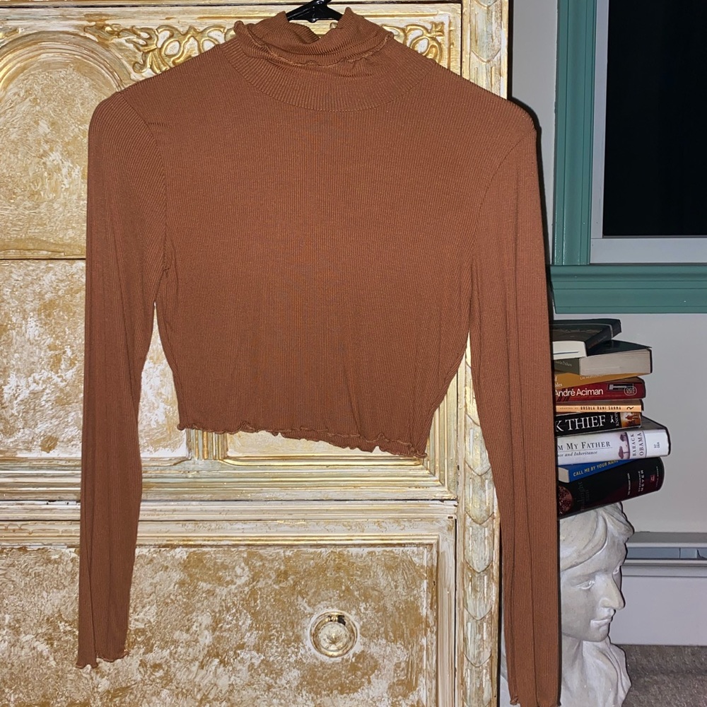 Wild Honey Cropped Turtleneck